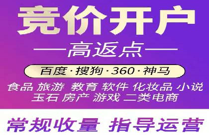 网站sem托管案例分享：如何精准投放广告